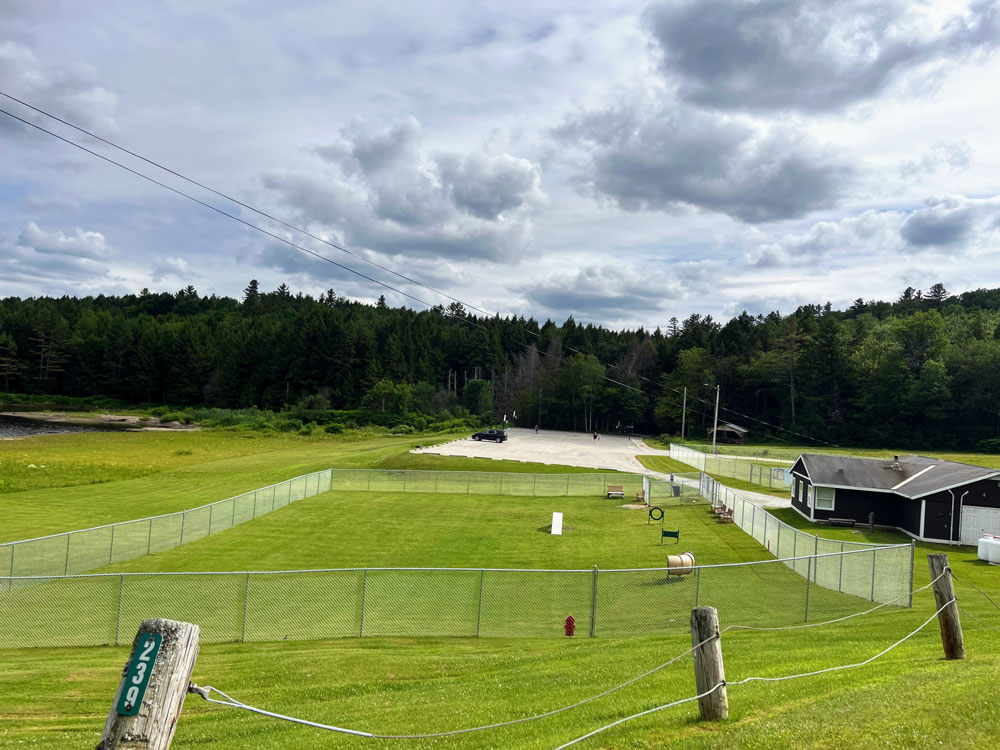 Ludlow-VT-Dog-Park